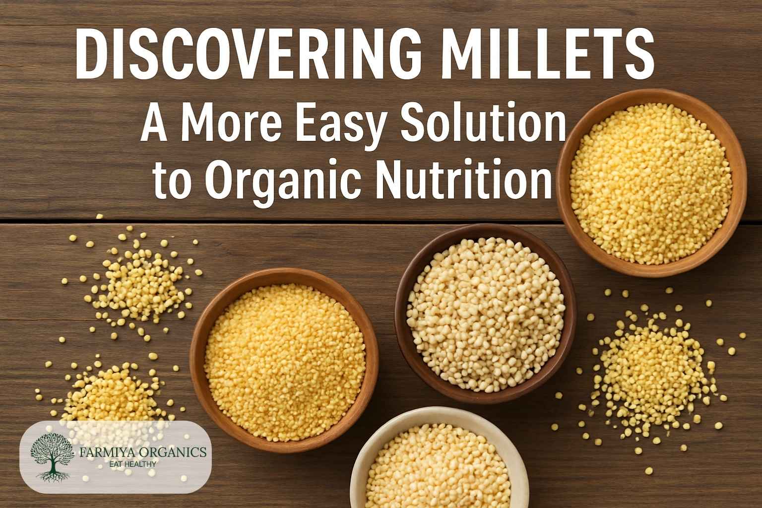 Discovering Millets: A More Easy Solution to Organic Nutrition