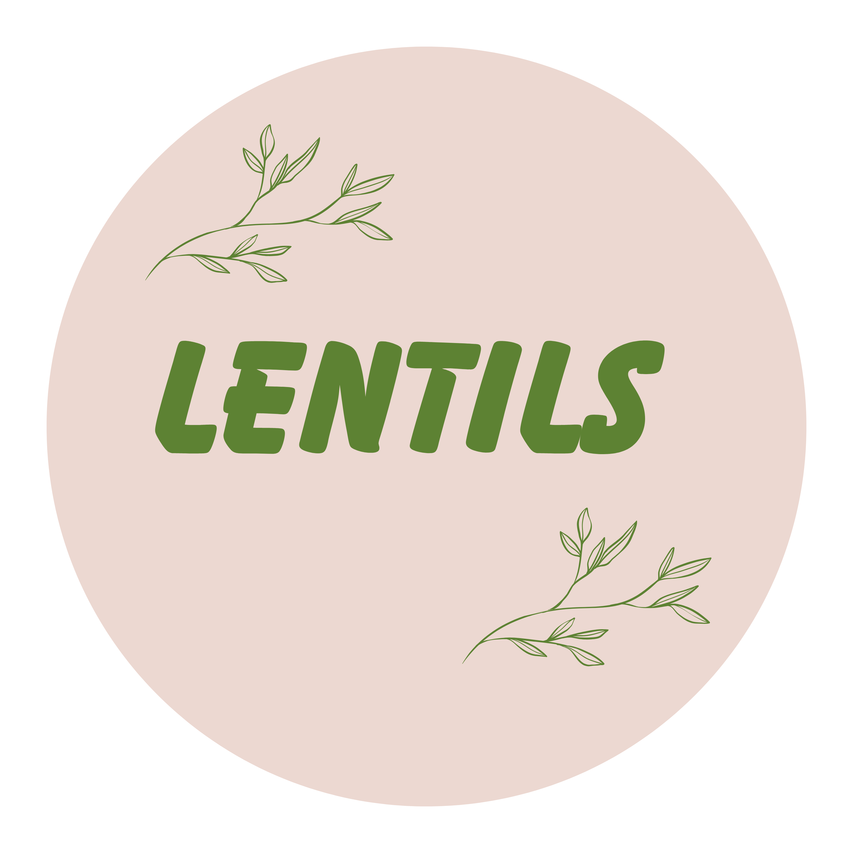 Lentils