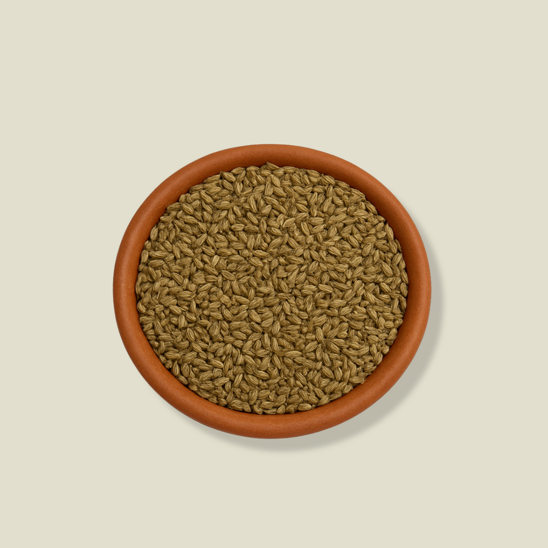 Organic Ajwain – Ajma
