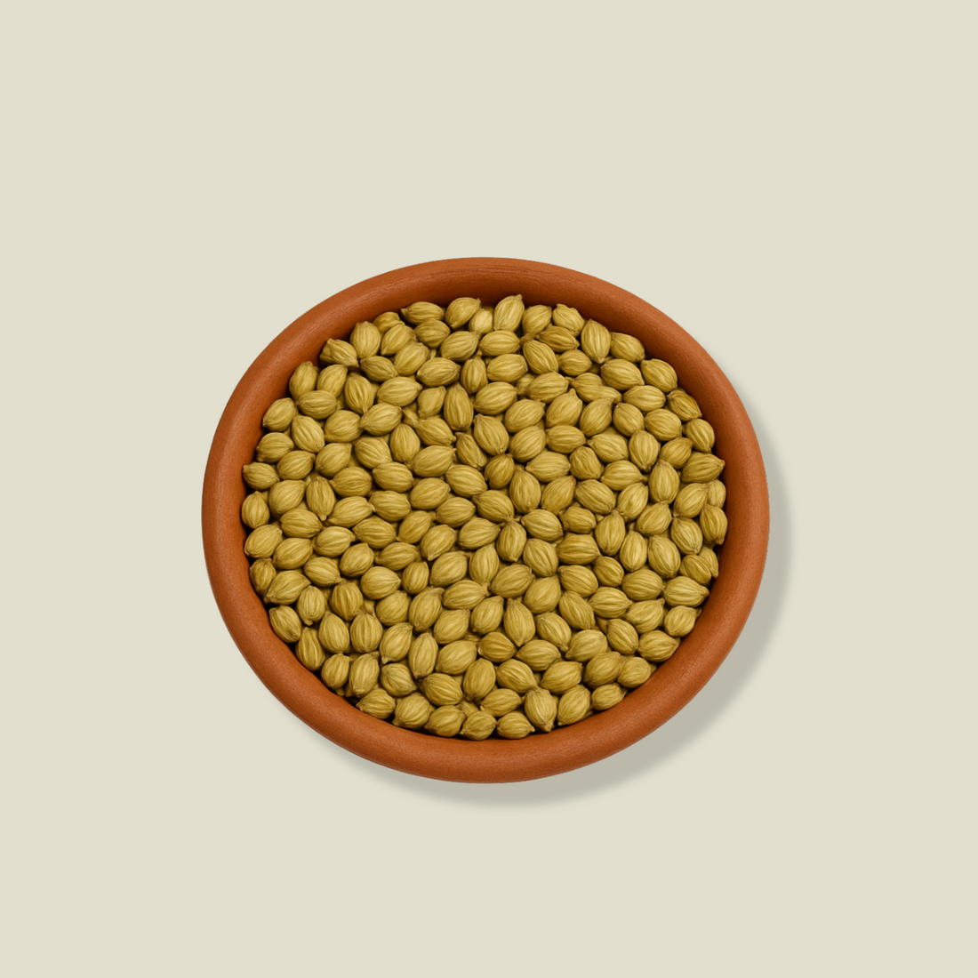Corriander – Dhana Powder
