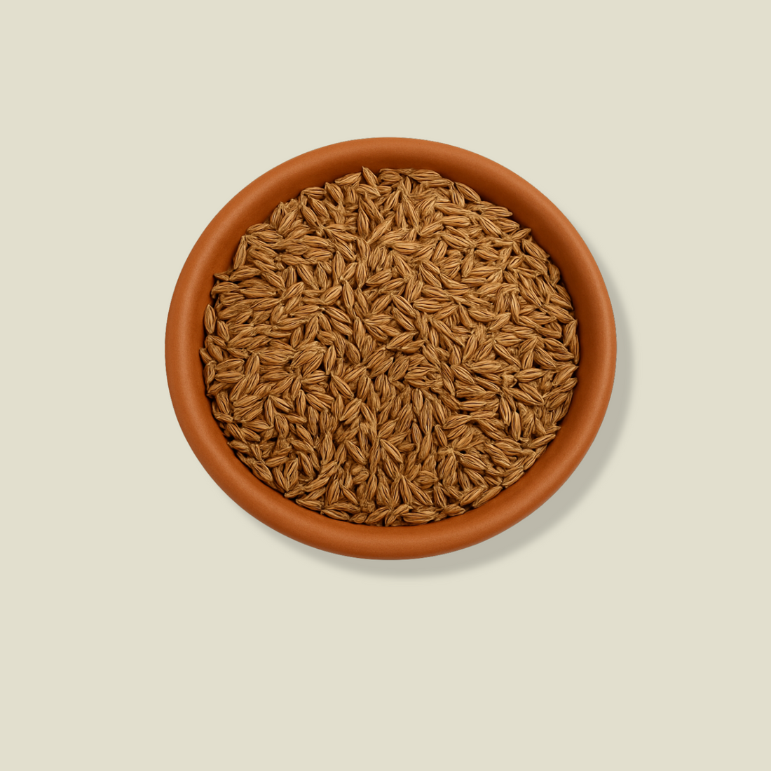 Organic Jeera – Cumin