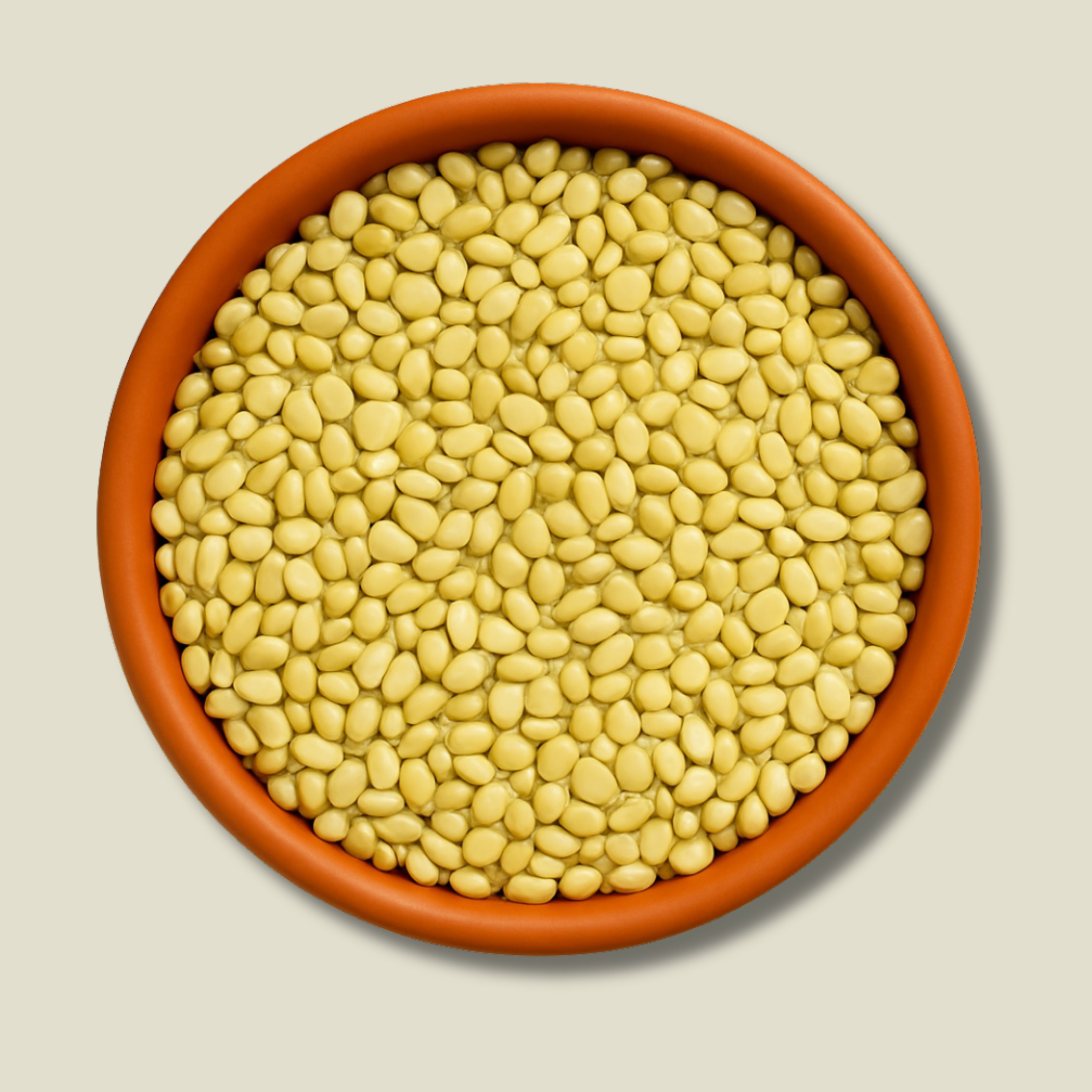 Organic Month Daal Gms