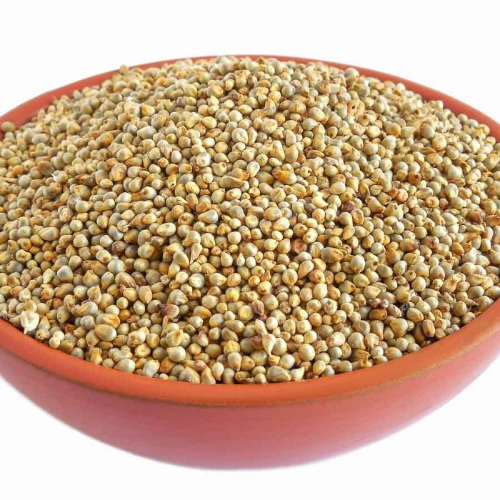 pearl millet